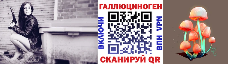 Псилоцибиновые грибы Cubensis  Рославль 